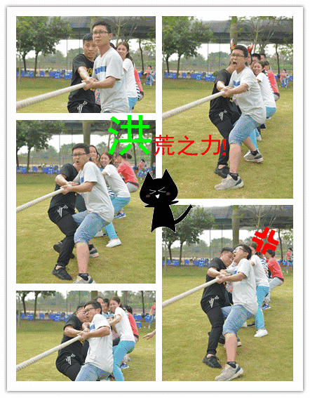 團隊&bull;較量/ 拔河賽