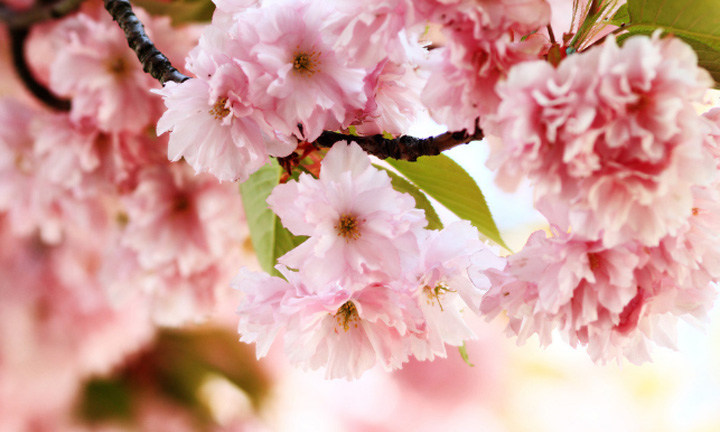 春暖花開時節，2021年博皓&ldquo;鷹之家&rdquo;學習組織班委換屆盛典