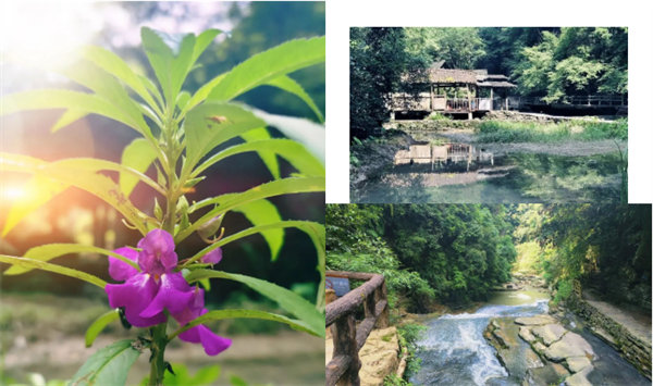 “湘”約鳳凰,相守未來(lái)——2022博皓快樂(lè)湖南行 -34