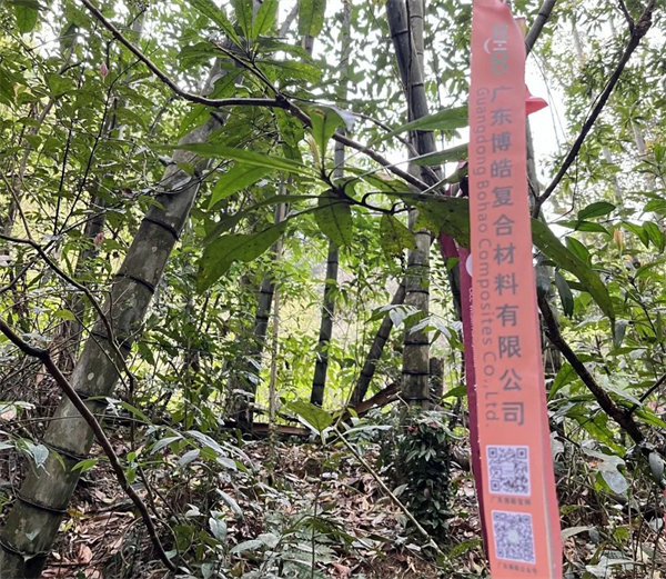 凝心聚力再出發，風雨同舟赴星溪！--廣東博皓2024龍年首登星溪之旅     -2