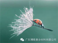 【博皓感悟】成功，要“借力”，不要“盡力”